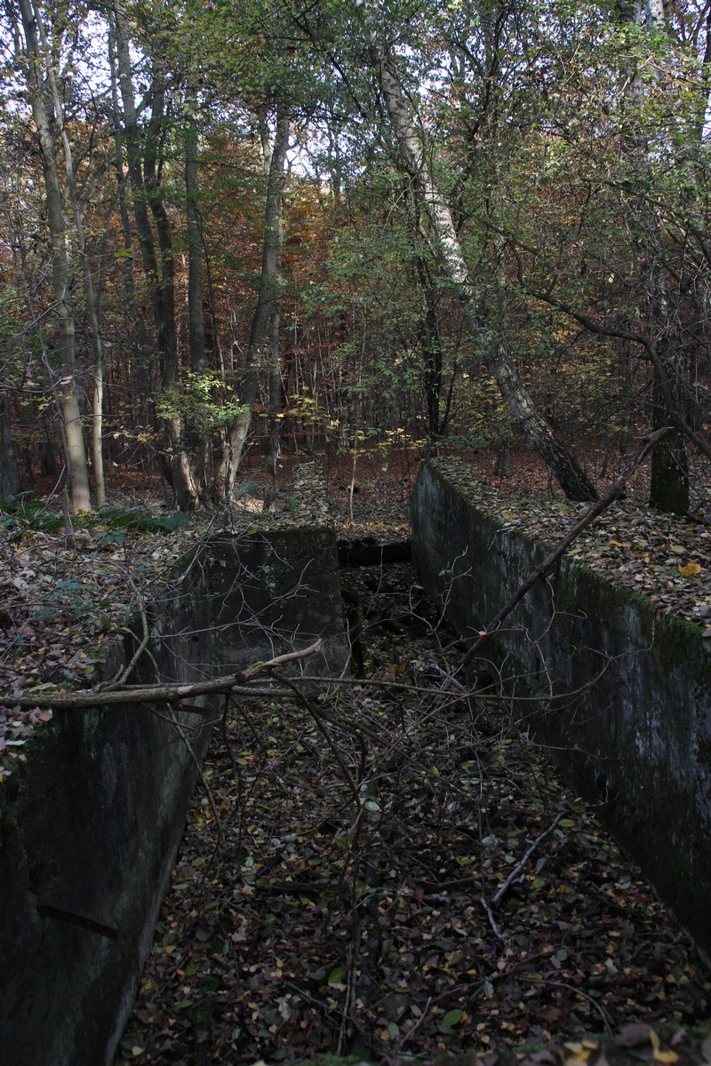 n_2015_11_01_Hirtenfliess_289.jpg