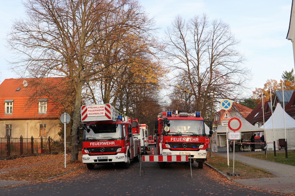n_2018_11_10_Eichwalde_Martinsfeuer_020.jpg