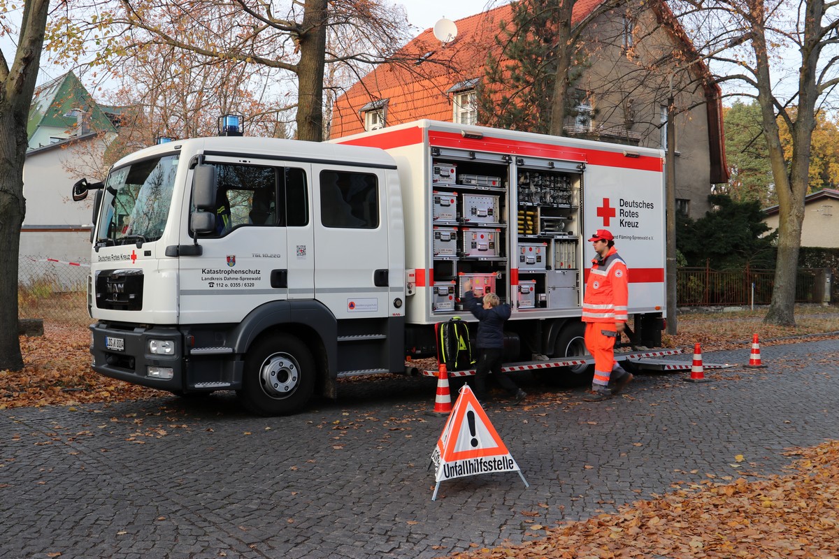 n_2018_11_10_Eichwalde_Martinsfeuer_036.jpg