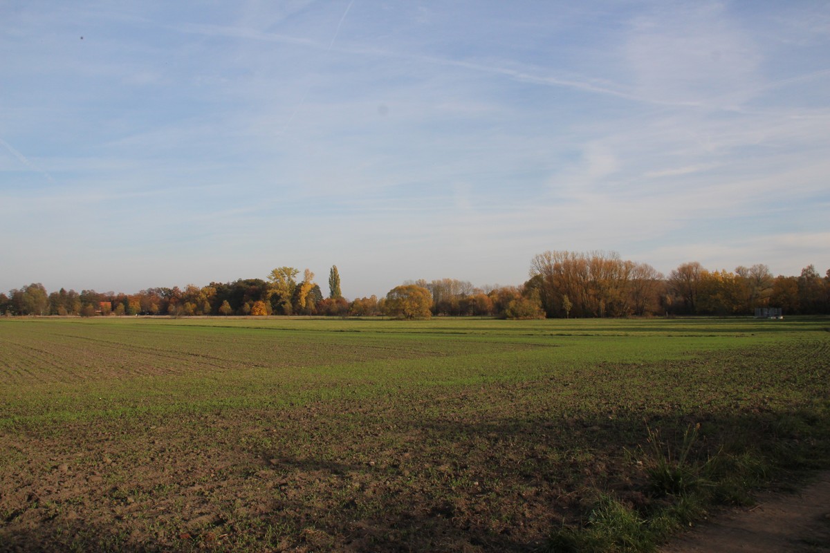 n_2015_11_01_Schulzendorfer_Schlosswiesen_482.jpg