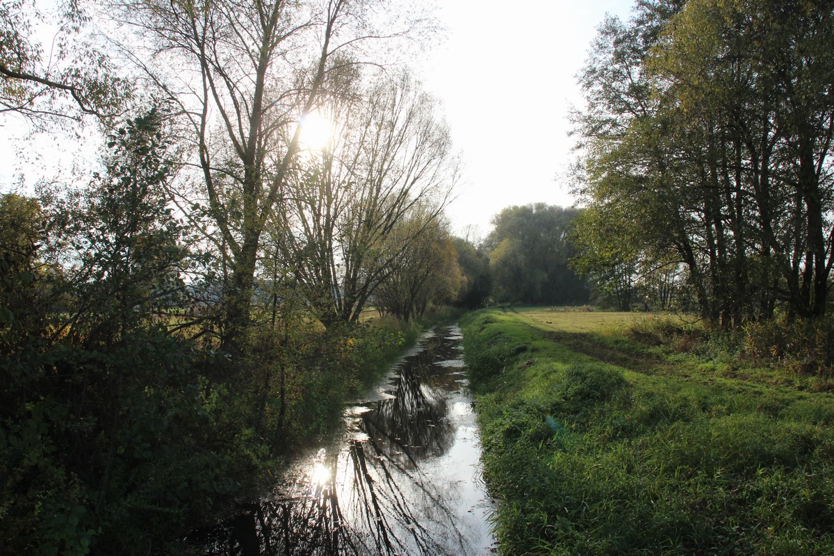 n_2015_11_01_Schulzendorfer_Schlosswiesen_495.jpg