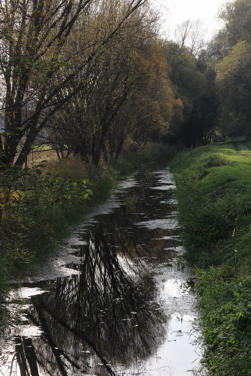 n_2015_11_01_Schulzendorfer_Schlosswiesen_508.jpg