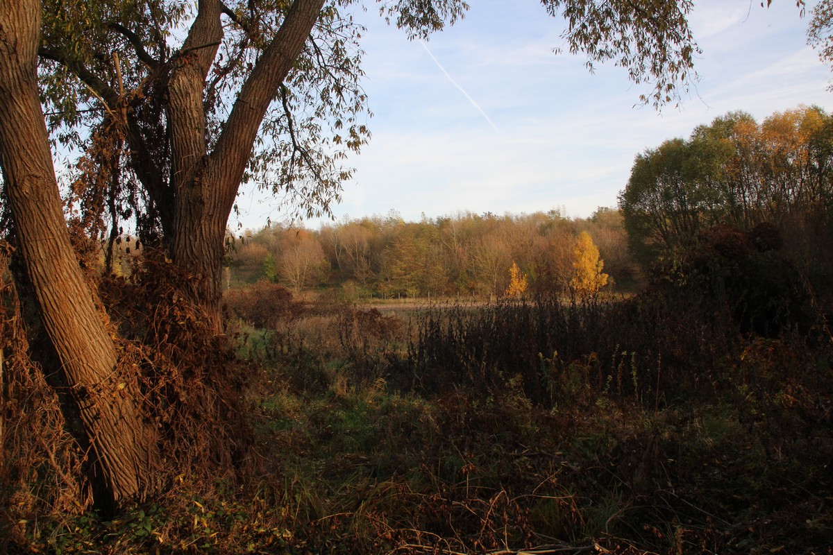 n_2015_11_01_Schulzendorfer_Schlosswiesen_591.jpg