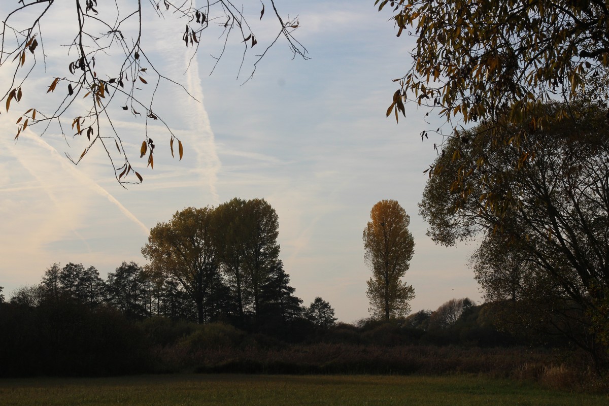 n_2015_11_01_Schulzendorfer_Schlosswiesen_636.jpg