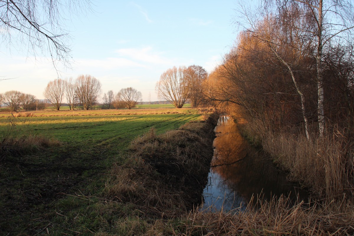 n_2015_12_19_Schulzendorfer_Schlosswiesen_870.jpg