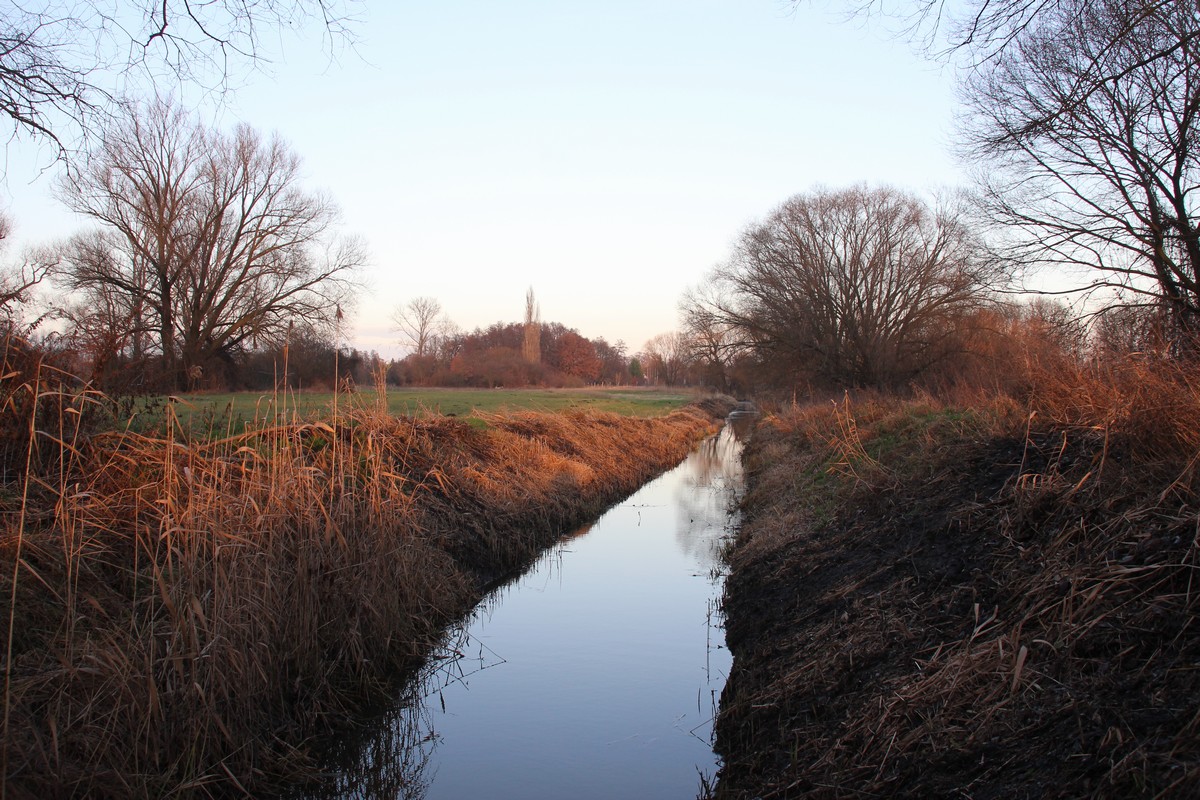 n_2015_12_19_Schulzendorfer_Schlosswiesen_882.jpg