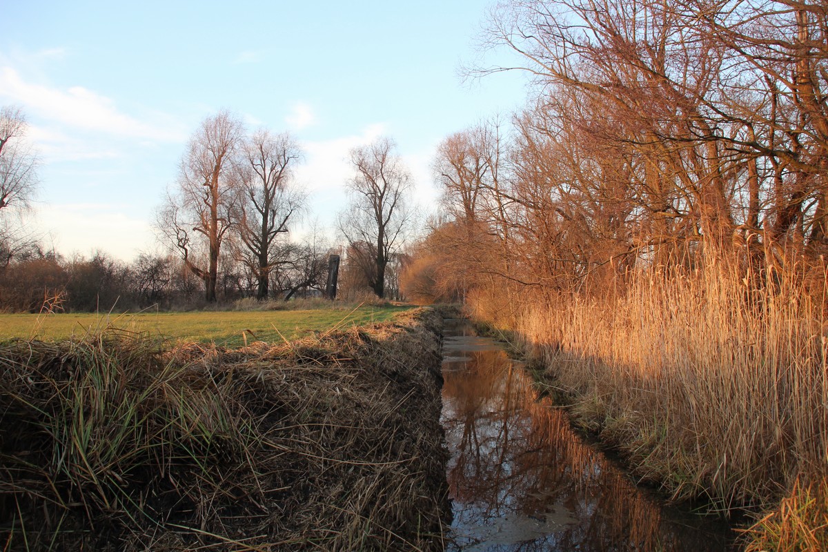 n_2015_12_19_Schulzendorfer_Schlosswiesen_927.jpg