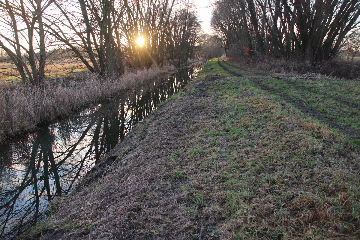 n_2015_12_28_Schulzendorfer_Schlosswiesen_147.jpg
