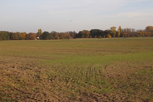 2015_11_01_Schulzendorfer_Schlosswiesen_447.jpg