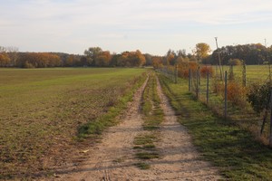 2015_11_01_Schulzendorfer_Schlosswiesen_450.jpg