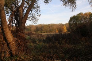 2015_11_01_Schulzendorfer_Schlosswiesen_591.jpg