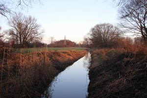 2015_12_19_Schulzendorfer_Schlosswiesen_882.jpg