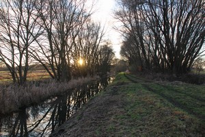 2015_12_28_Schulzendorfer_Schlosswiesen_146.jpg