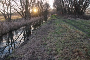 2015_12_28_Schulzendorfer_Schlosswiesen_147.jpg