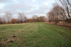 2015_12_28_Schulzendorfer_Schlosswiesen_204.jpg