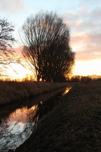 2015_12_28_Schulzendorfer_Schlosswiesen_248.jpg