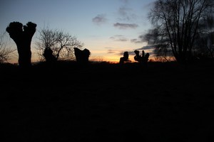 2015_12_28_Schulzendorfer_Schlosswiesen_438.jpg