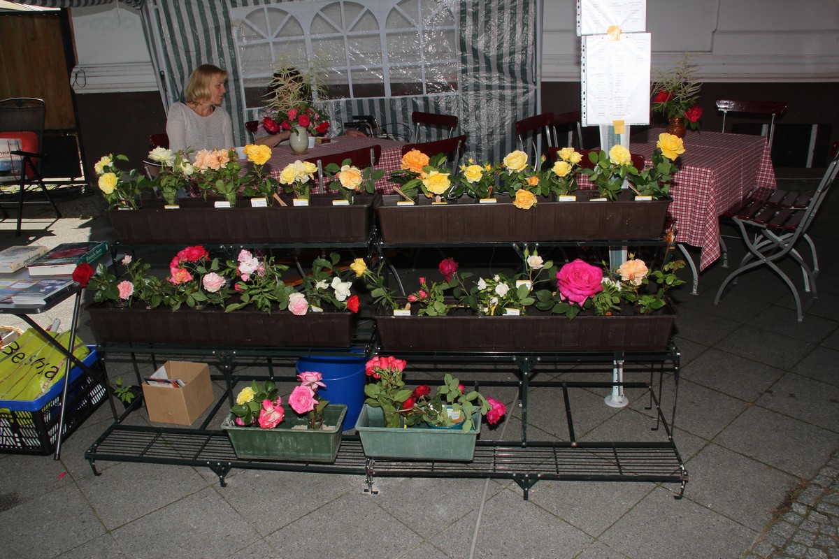 n_Eichwalde_2017_06_10_Rosenfest_0437.jpg