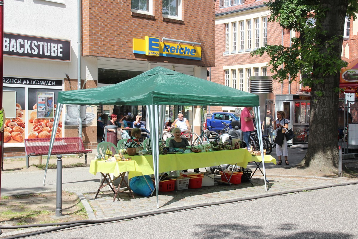 n_Eichwalde_2017_06_10_Rosenfest_0942.jpg