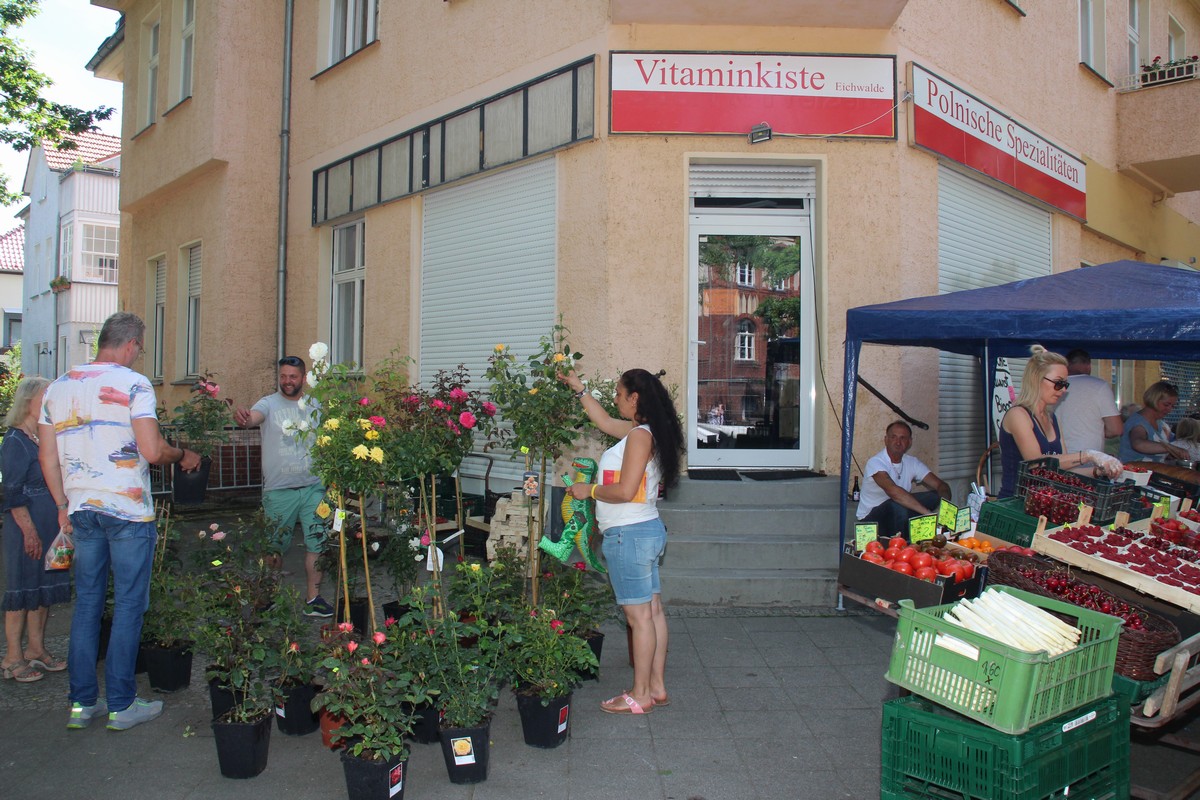 n_Eichwalde_2017_06_11_Rosenfest_2481.jpg